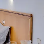 호텔 레시페 2*